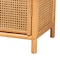 Bali & Pari Curacao Modern Bohemian Light Honey Rattan 2-Door Storage Cabinet 243-13569-ZORO - alternate 9